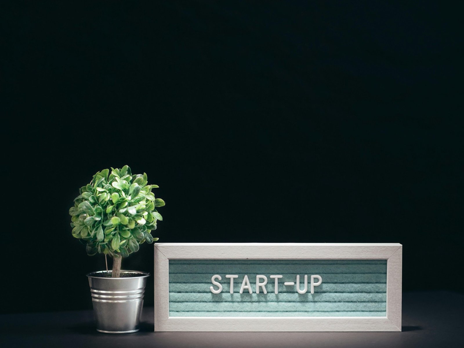 How to Start a Successful Online Business and Grow Fast